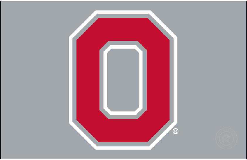 Ohio State Buckeyes 1991-Pres Secondary Logo v2 diy DTF decal sticker